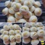 Puto Recipe Puto with Cheese
