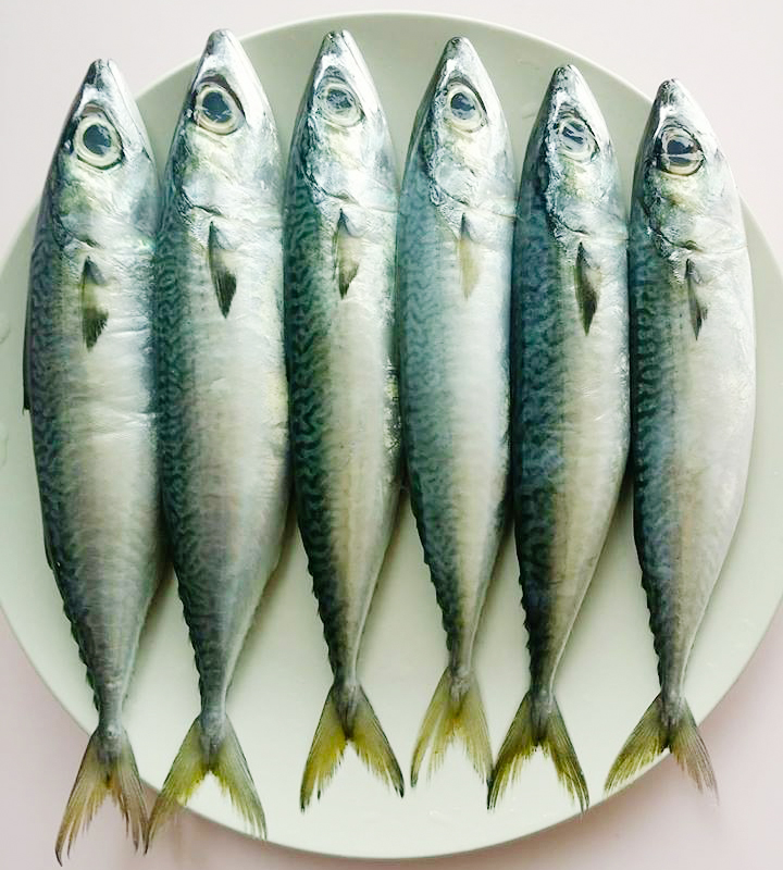 Galunggong